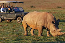 BIG 5 Garden Route Game Safari