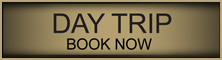 Click Here - to request a Booking for a Aquila Safari